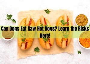 Can Dogs Eat Raw Hot Dogs