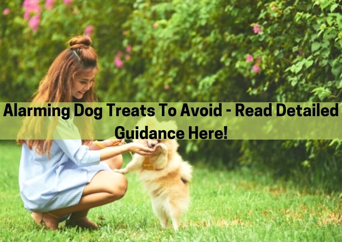 Dog Treats To Avoid
