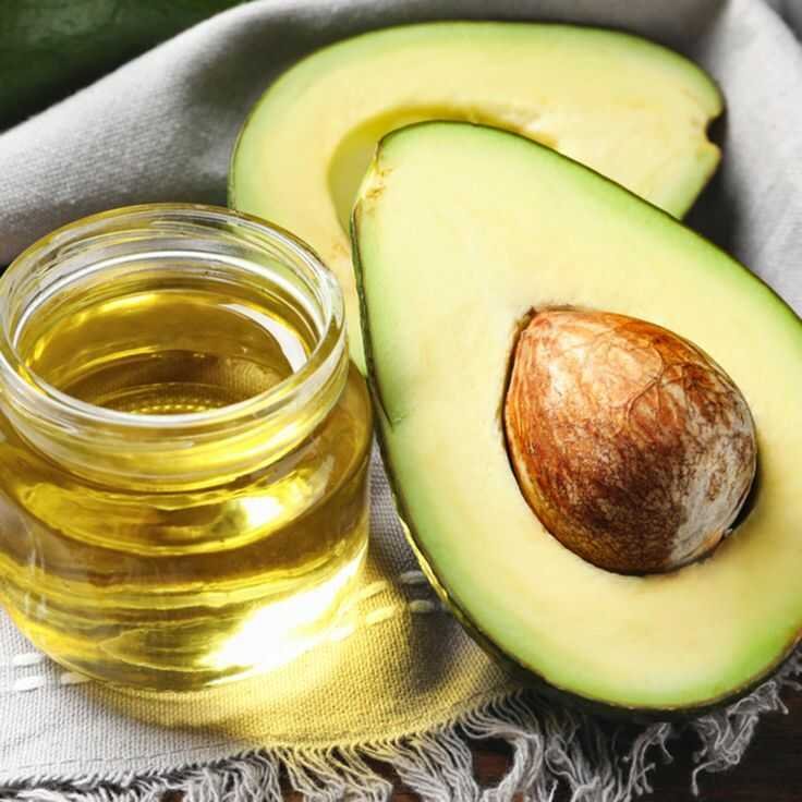 Can Dogs utilize avocado Oil?