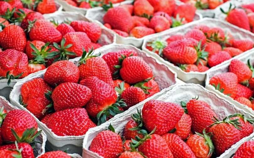 what fruits can goats eat