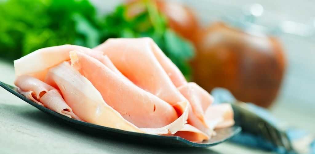 can dogs eat turkey deli meat