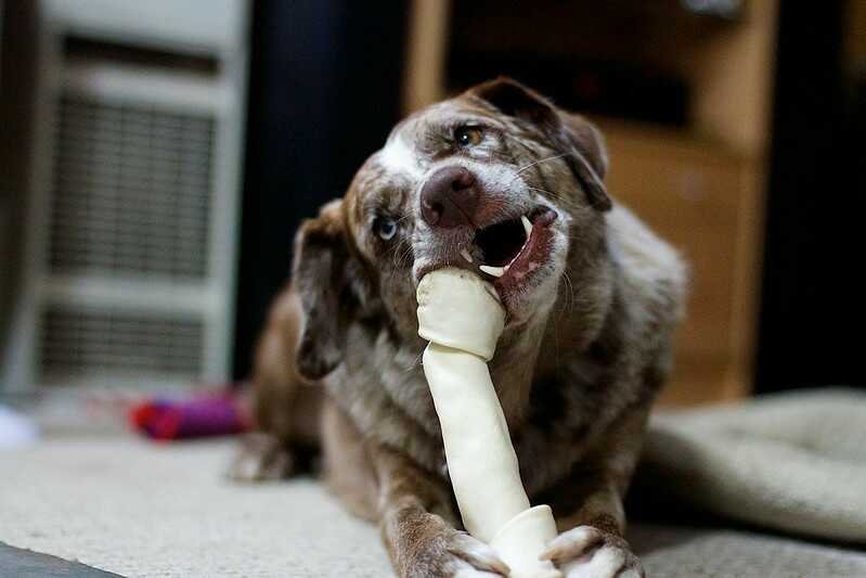 Rawhide Chews