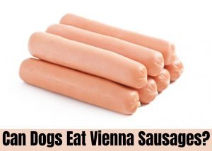 Can Dogs Eat Vienna Sausages