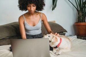 Buying Dog Pajamas Online
