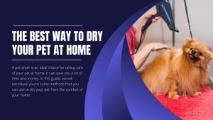pets dryer