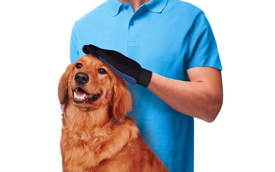 glove