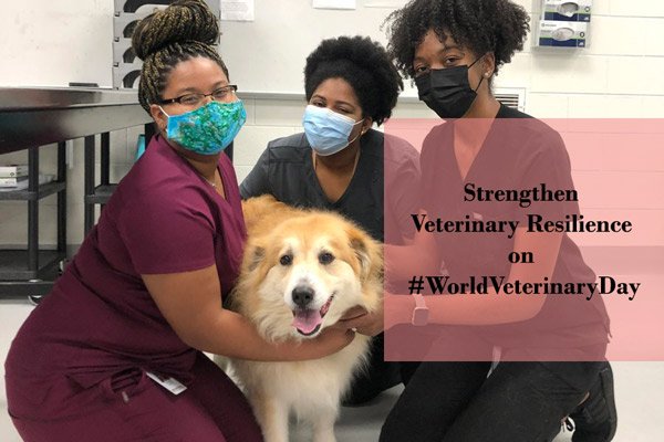 strengthen veterinary resilience