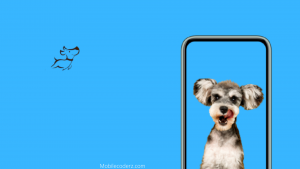 A Complete Guide To Pet Care App Development