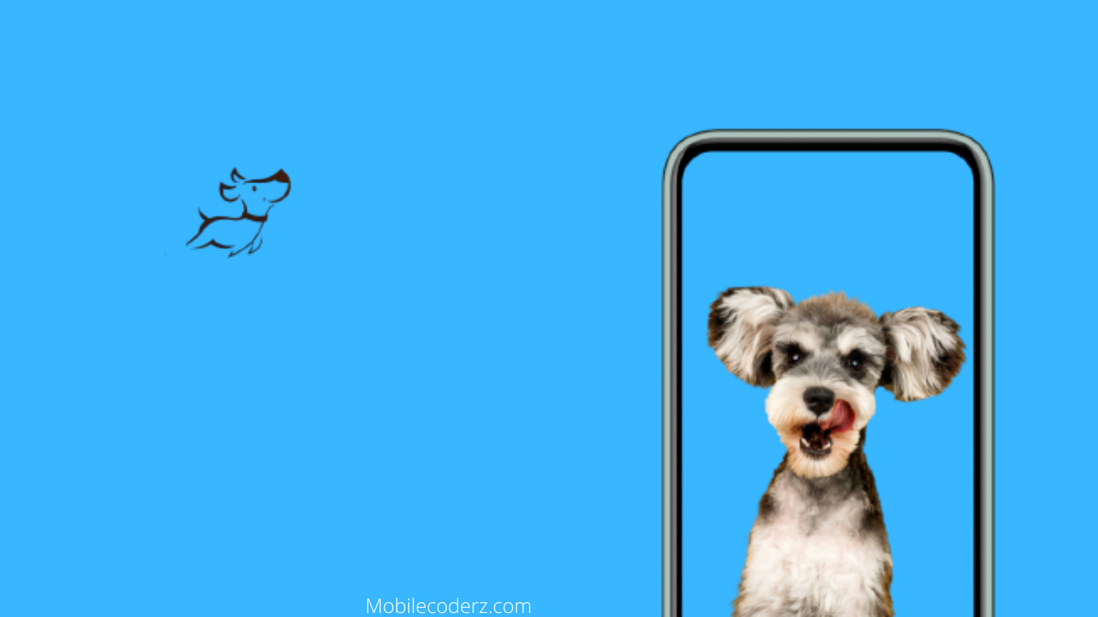 A Complete Guide To Pet Care App Development