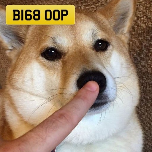 Boop the Snoot