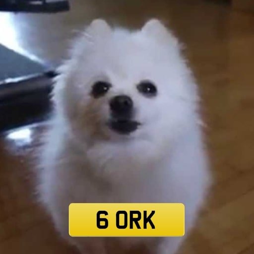 Bork
