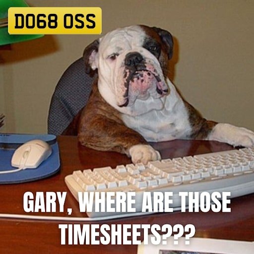 Dog Boss