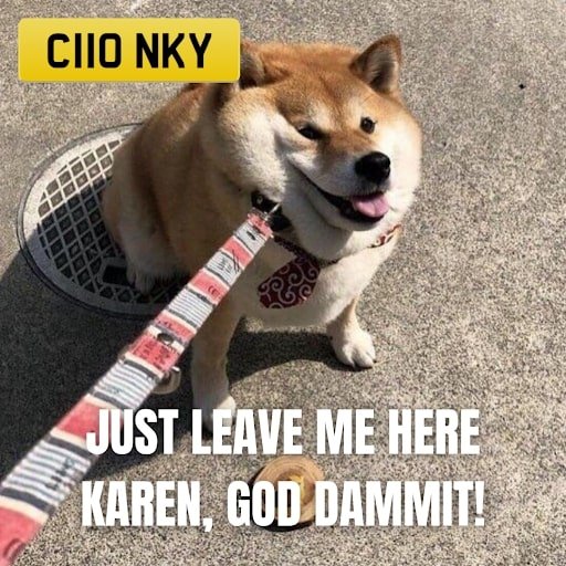 Embrace the Chonk