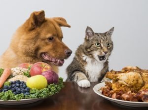 Increasing Innovation by Pet Food Manufacturers to Positively Influence the Industry
