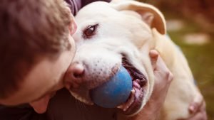 Huge Sign Of Dog Obsession