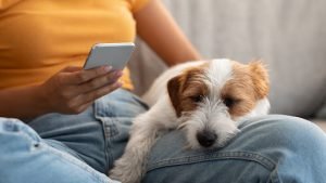 Huge Sign Of Dog Obsession