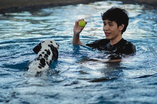 Is Playing Ball Good For Dogs?