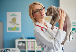 Pet's Dental Cleaning