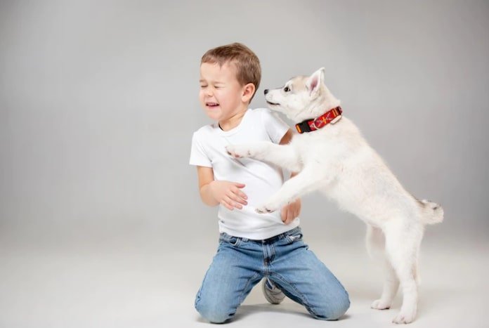 Child Conquer Their Fear of Animals