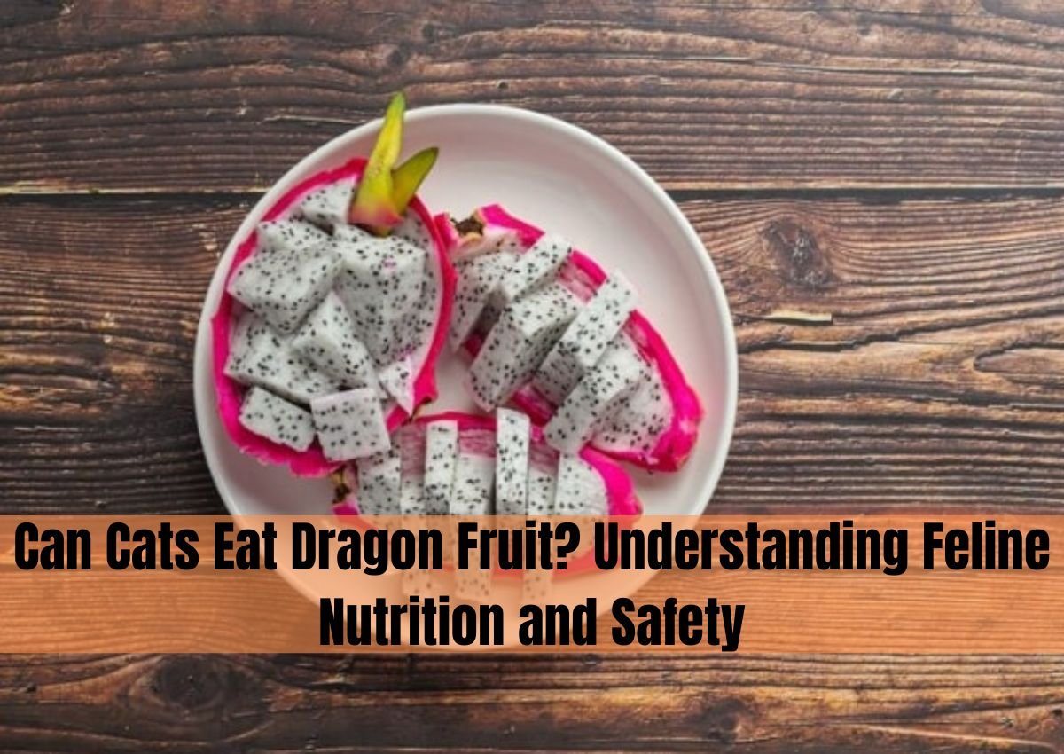 can cats eat dragon fruit