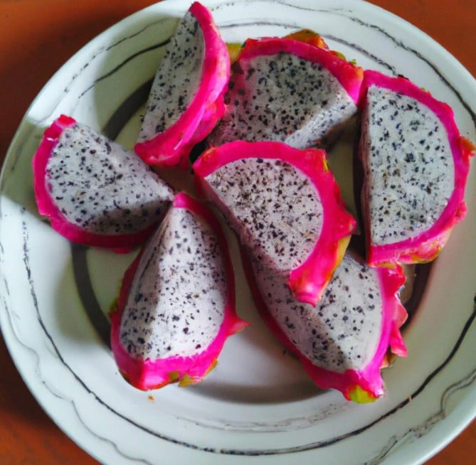 do cats like dragon fruit