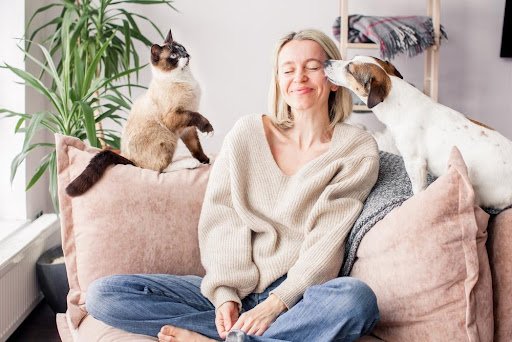 Socialize Your Pet