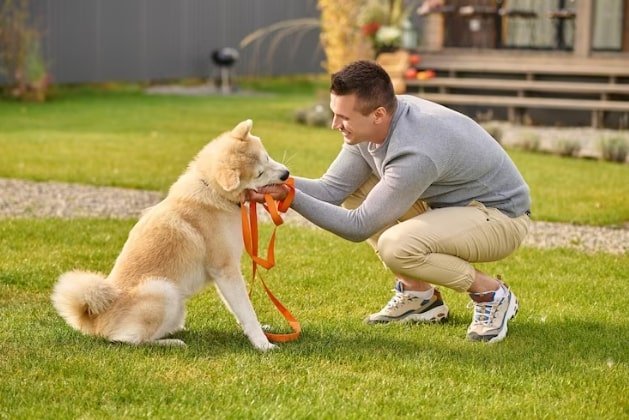 Dog at Day Care