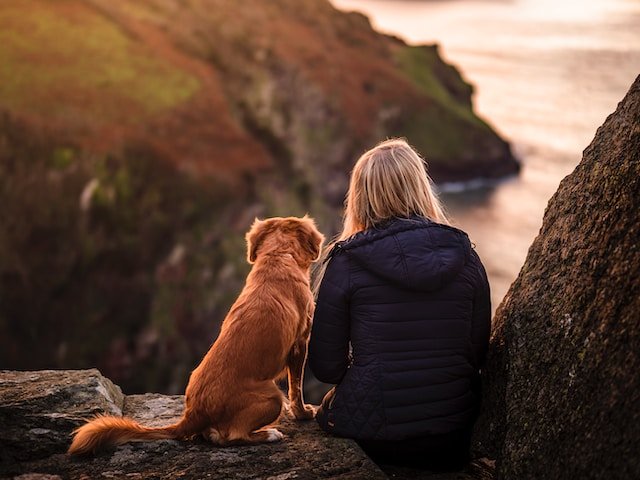 Walking your Dog
