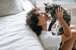Cat Owner