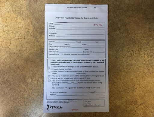What Documents Do I Need?