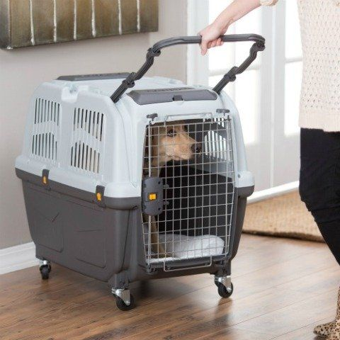 What Are the Carrier Restrictions?