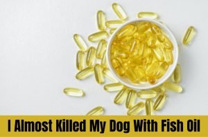 i almost killed my dog with fish oil
