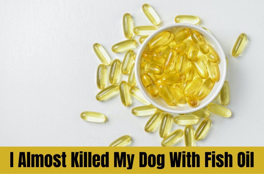 i almost killed my dog with fish oil