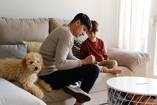 boys and a dog homemaking homeschooling tips for busy folks