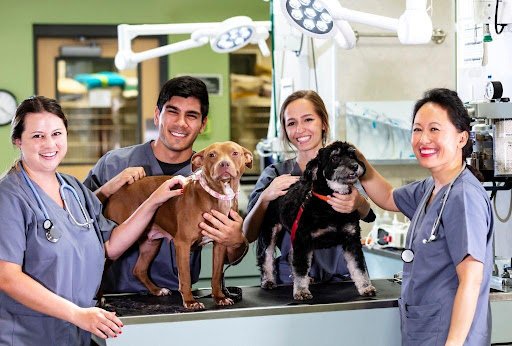 Vet Tech