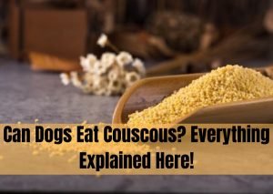 Can Dogs Eat Couscous