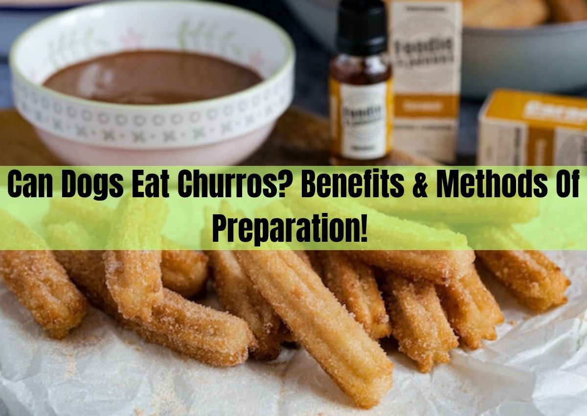 Can Dogs Eat Churros