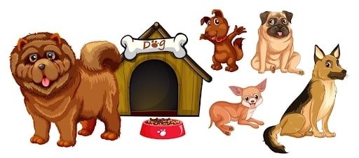 Furry Pets and Children