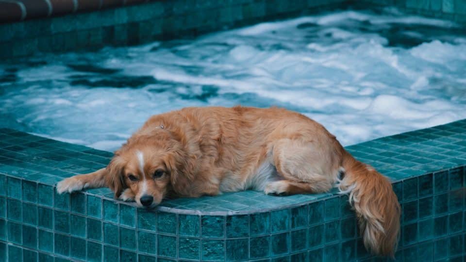What is a Hot Tub