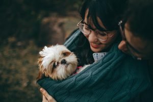 Benefits of Having Pets