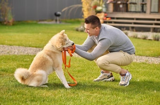 Tips for a Happy Dog