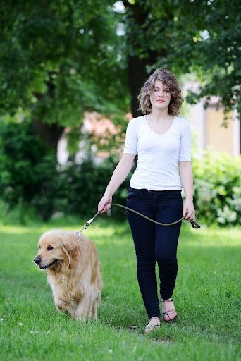 Mindful Feeding: Slow Down for Optimal Digestion