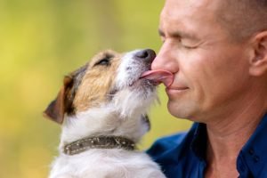 Why Dogs Love to Bite Your Nose