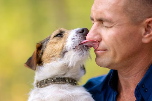 Why Dogs Love to Bite Your Nose
