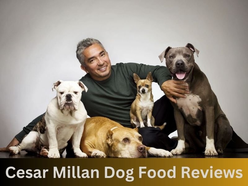 Cesar Millan Dog Food Reviews