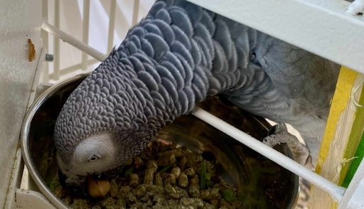 Why Are Pellets Important