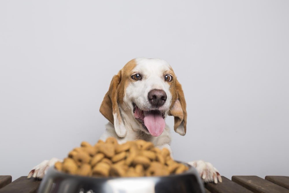 The Science of Dog Nutrition