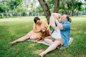 Comprehensive Guide to Dog Grooming Essentials