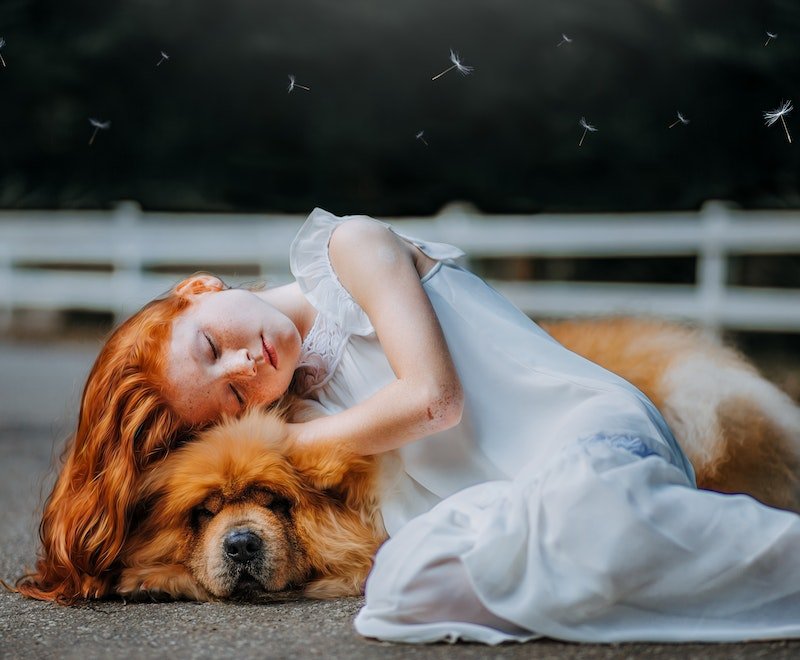 The Evolution of the Human-Dog Bond