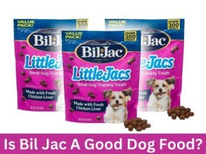 Is Bil Jac A Good Dog Food